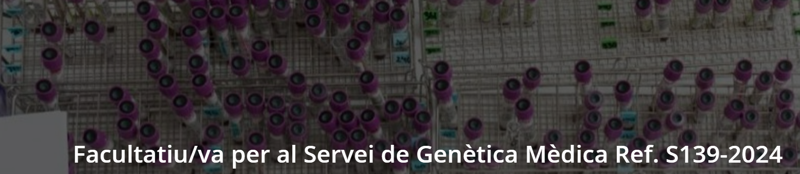 Captura de pantalla 2024-12-17 170518